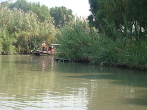 來(lái)常熟沙家浜風(fēng)景區(qū)游玩,住錦江之星常熟招商城店2人1晚今年國(guó)慶中秋連一塊,高速堵車(chē), 驢媽媽點(diǎn)評(píng)