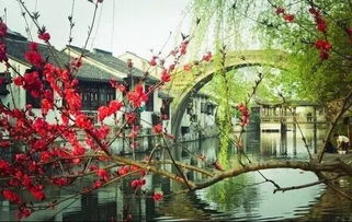 南潯古鎮(zhèn)坐一回搖櫓船 春天是水上游古鎮(zhèn)最好時節(jié)