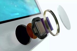 等待了4年的全新MacBook終于要來了 5大變革搶鮮看以及觸控產品的超預期創新